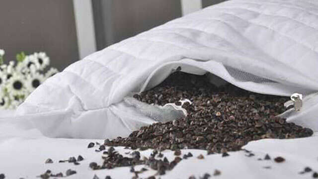 荞麦枕头里面会不会有虫子  荞麦枕头的三种清洗方法