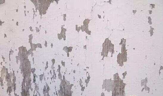发霉的墙可以怎么清洁呢 装修墙面有哪些是需要注意的