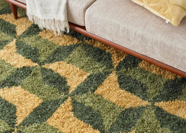 怎样才能买到好打理又好看的一款地毯呢