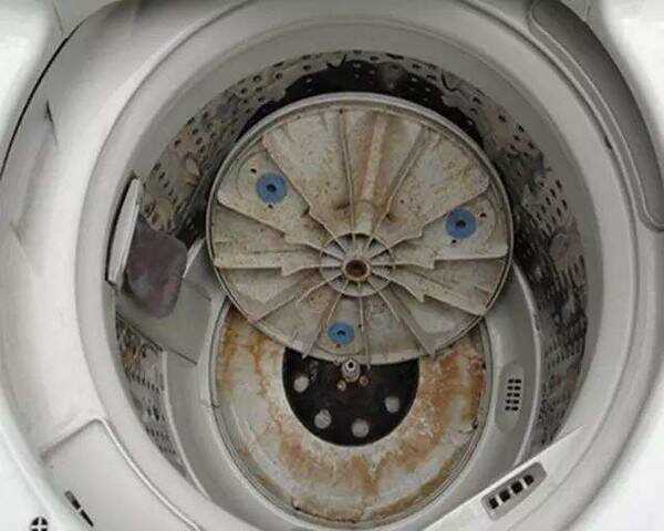 洗衣机怎么清洗保养   要知道洗衣机不干净会多危险