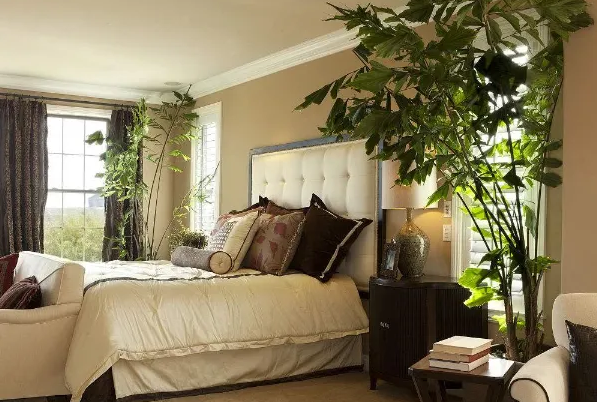 卧室植物摆放风水禁忌什么 不宜放卧室的物品有哪些