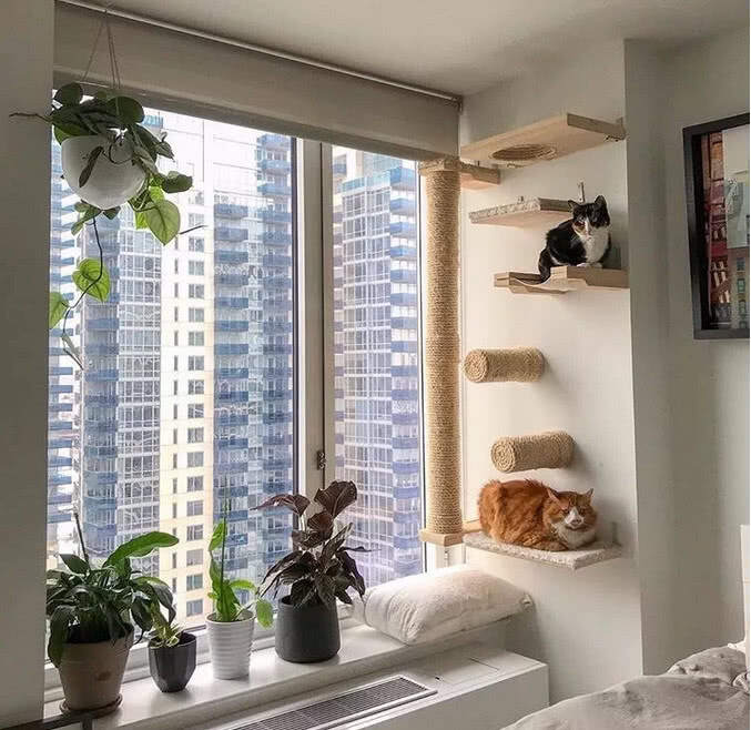 人宠家具推荐图片