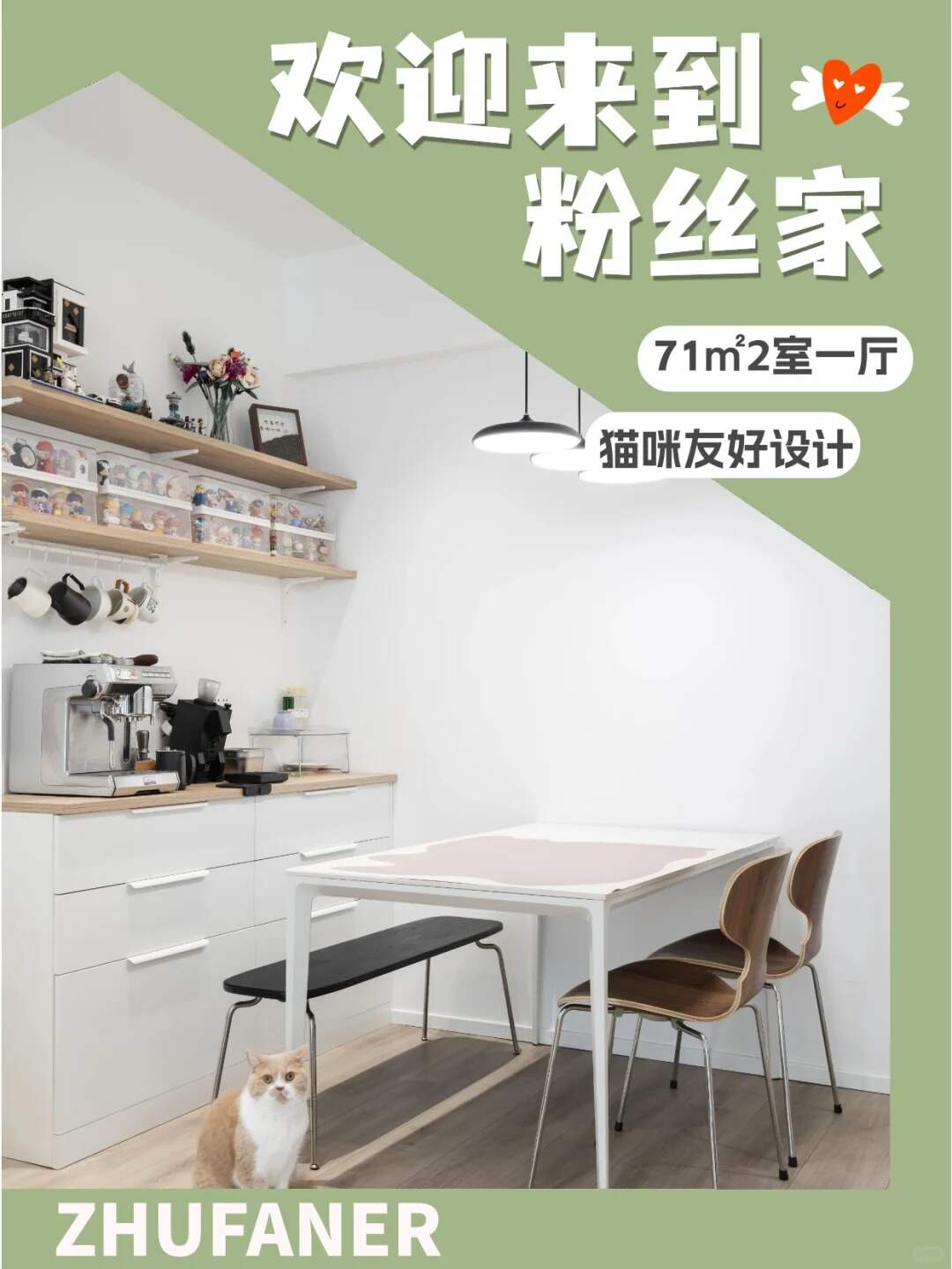 猫咪友好设计图片