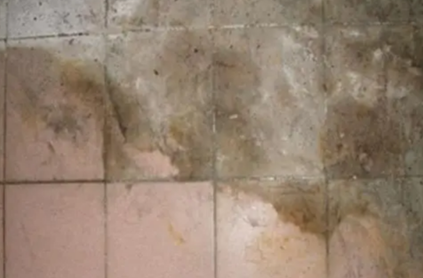 瓷砖墙面一般污渍怎样清洁 瓷砖墙面特殊污渍怎样清洁