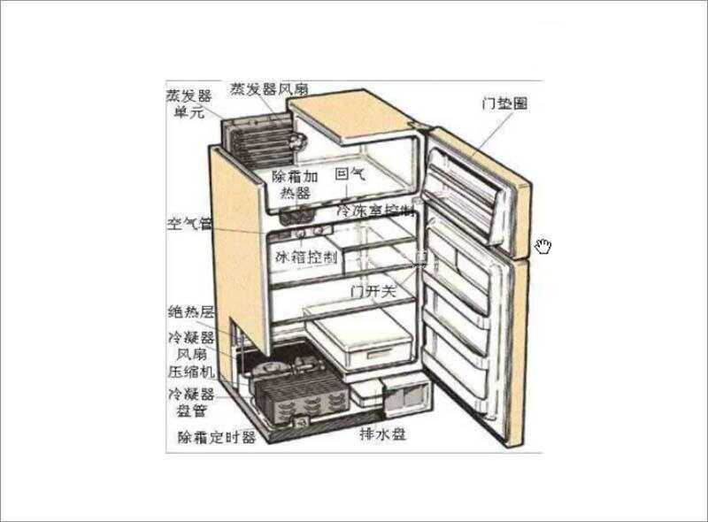 电冰箱结构实物图图片