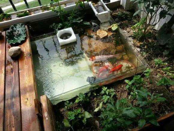 阳台鱼池防水怎么做